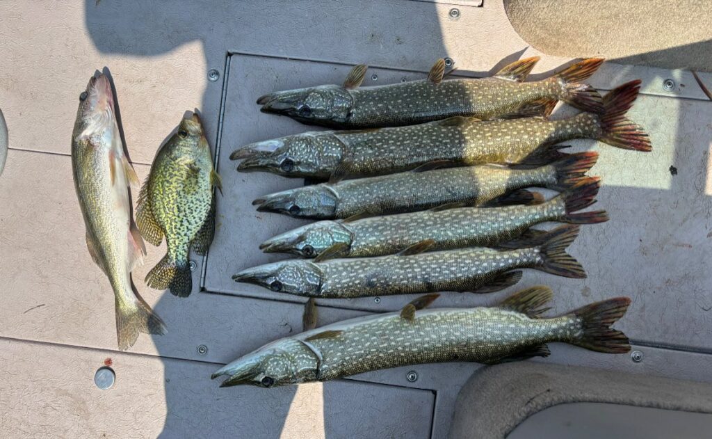 518273792_122131724702829472_455322854445548182_n