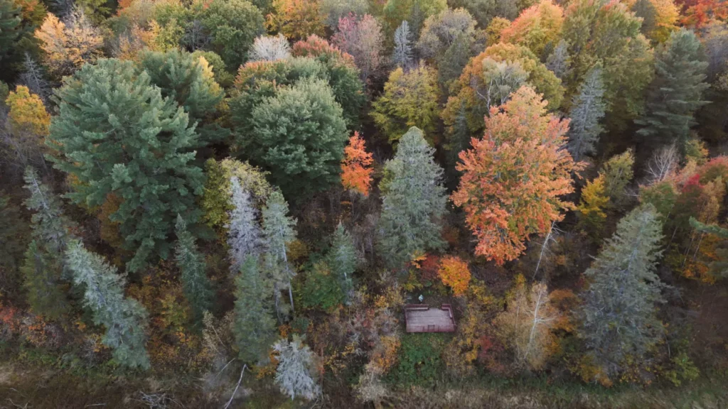 Belvedere-Tolba-Automne