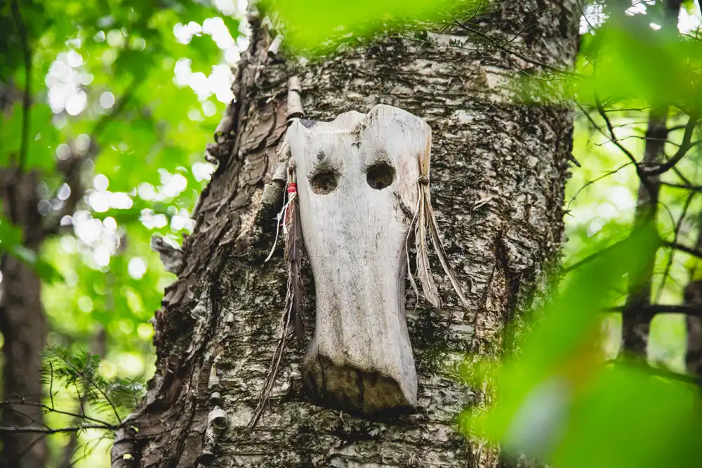 Parc-regional-Mont-Ham-montagne-estrie-randonnee-abenakis-sentiers