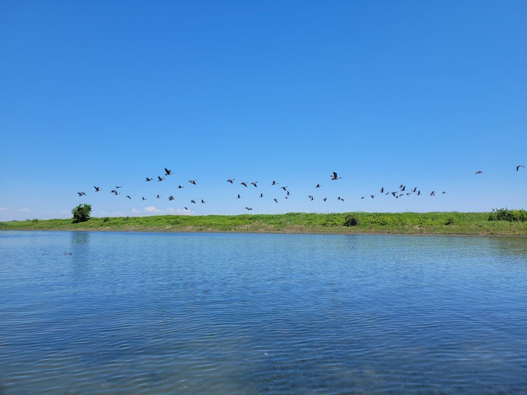 tour-de-la-grande-ile-varenne