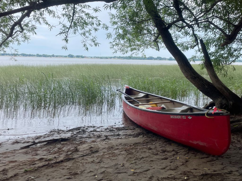 wlebata-lile-des-sauvages